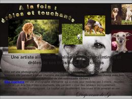 diaporama pps A la fois drôles et touchants