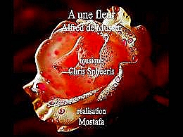 diaporama pps A une fleur