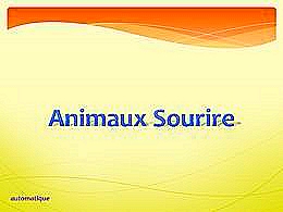 diaporama pps Animaux – Sourire