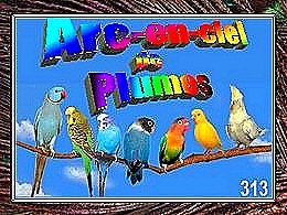 diaporama pps Arc en ciel en plumes
