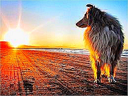 diaporama pps Belles photos