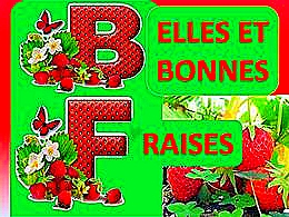 diaporama pps Bonnes et belles fraises