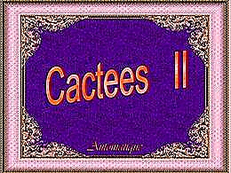 diaporama pps Cactés II