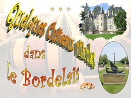 diaporama pps Châteaux viticoles bordelais