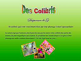 diaporama pps Colibris