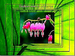 diaporama pps Couleur vives du printemps