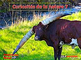 diaporama pps Curiosités de la nature 7