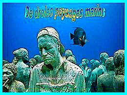 diaporama pps De drôles paysages marins