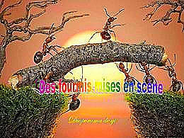 diaporama pps Des fourmis mises en scène