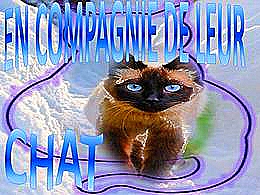 diaporama pps En compagnie de leur chat