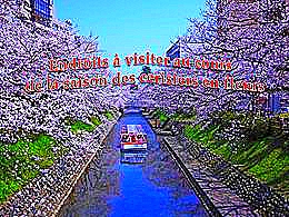 diaporama pps Endroits à visiter – Cerisiers en fleurs