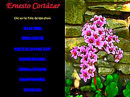 diaporama pps Ernesto Cortazar III