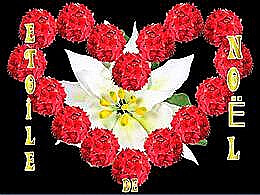 diaporama pps Étoile de Noël