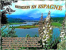 diaporama pps Excursion en Espagne