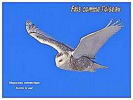 diaporama pps Fais comme l’oiseau