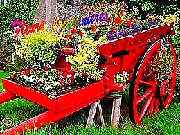 diaporama pps Fleurs printanières