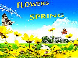 diaporama pps Flowers spring
