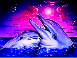 diaporama pps Fonds marins