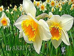 diaporama pps Il arrive