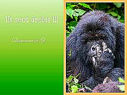 diaporama pps Ils sont drôles