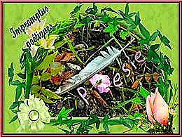 diaporama pps Impromptus poétiques