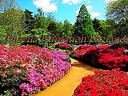 diaporama pps Isabella plantation england