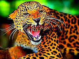 diaporama pps Jaguar