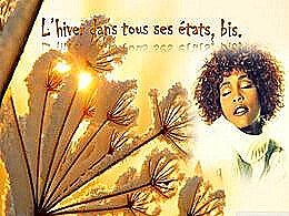 diaporama pps L’hiver dans tous ses états bis