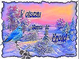 diaporama pps L’oiseau dans le froid