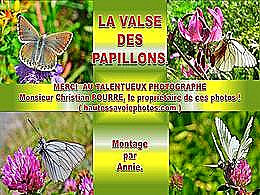 diaporama pps La valse des papillons
