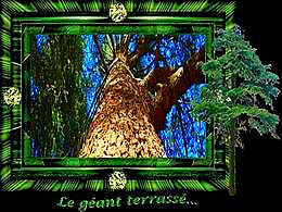 diaporama pps Le géant terrassé