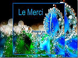 diaporama pps Le merci