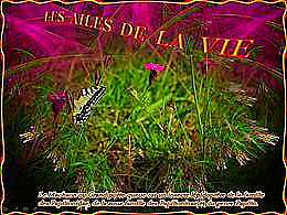 diaporama pps Les ailes de la vie