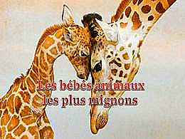 diaporama pps Les bébés animaux les plus mignons