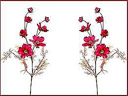 diaporama pps Les cosmos