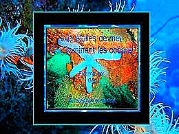 diaporama pps Étoiles de mer qui illuminent les océans