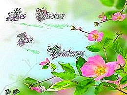 diaporama pps Les oiseaux au printemps