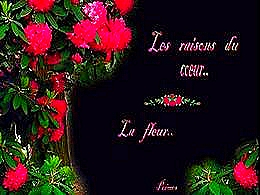 diaporama pps Les raisons du cœur