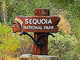 diaporama pps Les sequoias