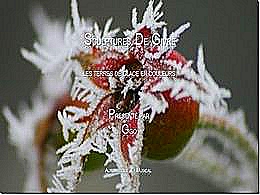 diaporama pps Terres de glace en couleurs sculptures de givre
