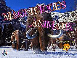 diaporama pps Magnifiques animaux