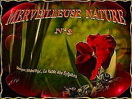 diaporama pps Merveilleuse nature N°3