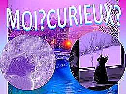 diaporama pps Moi curieux