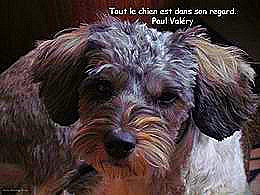 diaporama pps Moment de réflexion 3