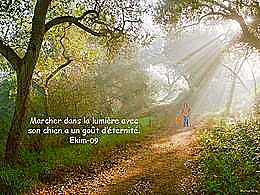 diaporama pps Moment de réflexion