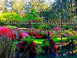 diaporama pps National rhododendron gardens australia