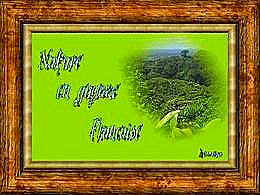 diaporama pps Nature en Guyane Française