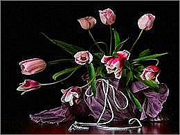 diaporama pps Nature Morte