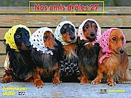 diaporama pps Nos amis drôles 27