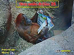 diaporama pps Nos amis drôles 28